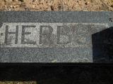image of grave number 834871